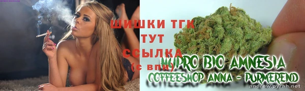 индика Наволоки