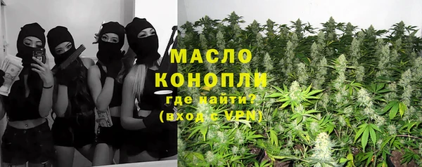 индика Наволоки
