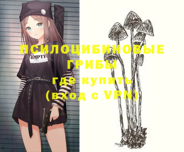 apvp Нефтекумск