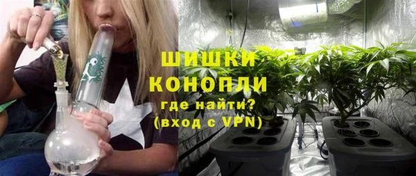 индика Наволоки