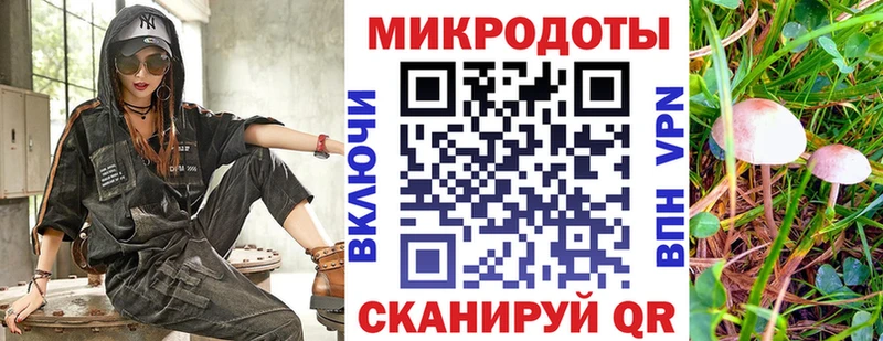 кракен ссылки  Петропавловск-Камчатский  Псилоцибиновые грибы мухоморы 