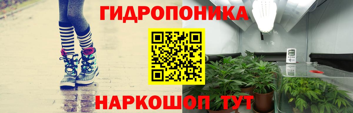 Петропавловск-Камчатский  Бошки марихуана конопля  Шишки марихуана White Widow  Шишки марихуана индика  Вход с VPN  Канабис White Widow 